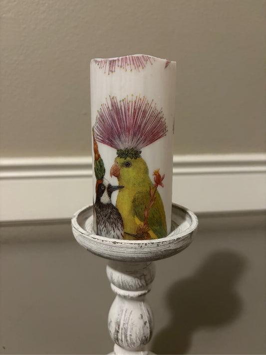 Party Hat