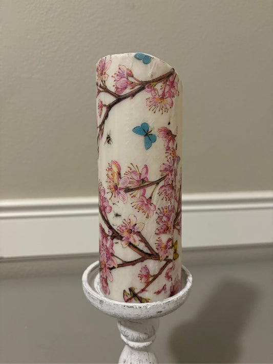 Butterfly5